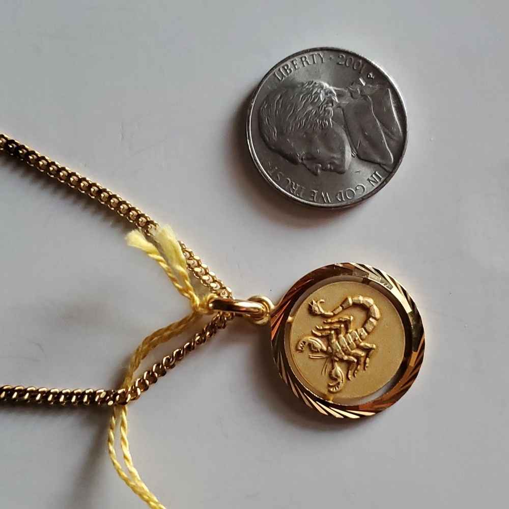 Scorpio Zodiac Pendant Necklace - Picture 3 of 3